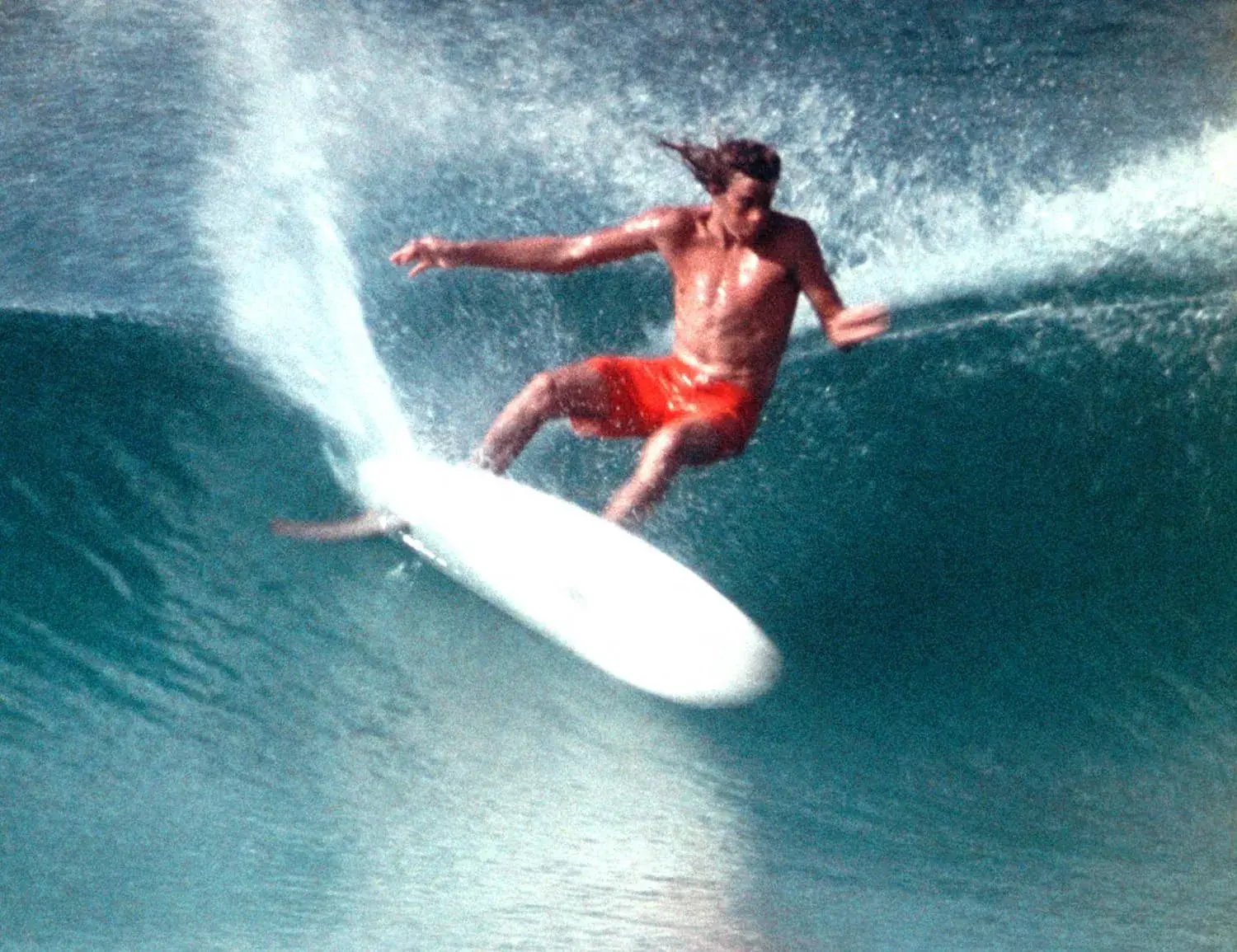 Alby Falzon - Michael Peterson Cutback
