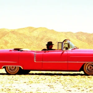 Alby Falzon - Pink Cadi. Mojave Desert