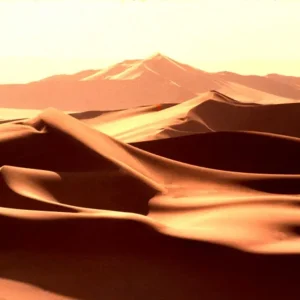 Alby Falzon - Sensual Delight Sahara Desert