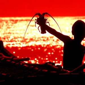 Boy with lobster Sri Lanka