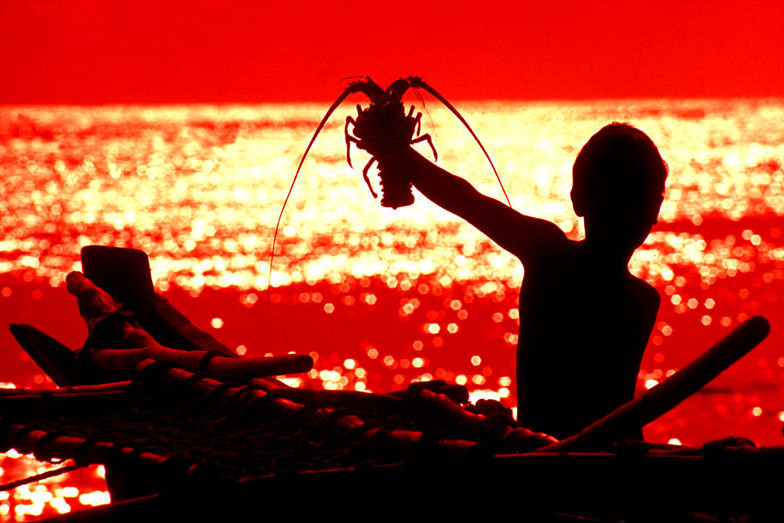 Boy with lobster Sri Lanka